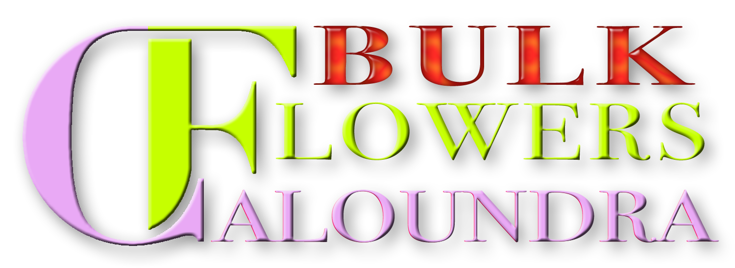 CALOUNDRA BULK FLOWERS CALOUNDRA BULK FLOWERS